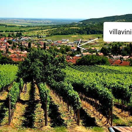 Villa Vinica Limbach Ngoại thất bức ảnh